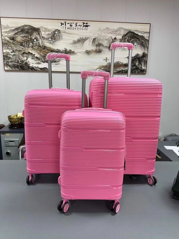OEM Business Carry-On 20 24 28 inch PP reiskoffer voor reizen en werk