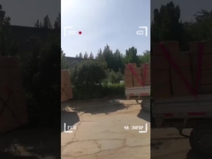 Vochtdicht kindercartoon bagage multiscene met rits sluiting